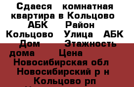 Сдаеся 1-комнатная квартира в Кольцово, АБК 2 › Район ­ Кольцово › Улица ­ АБК › Дом ­ 2 › Этажность дома ­ 4 › Цена ­ 10 000 - Новосибирская обл., Новосибирский р-н, Кольцово рп Недвижимость » Квартиры аренда   